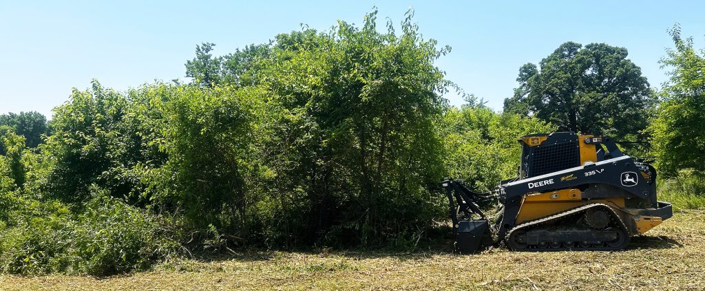 Land Clearing in Springfield MO | Land Clearing Services, Forestry ...